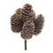 Melrose Frosted Pinecone Artificial Christmas Bundles - 9" - Brown - Set of 12